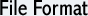 File Format